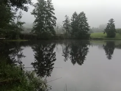 Landschaftsweiher Hohenau