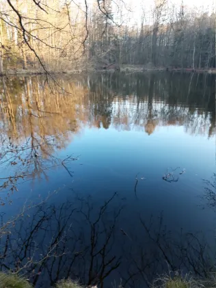 Waldsee Hoikendorf