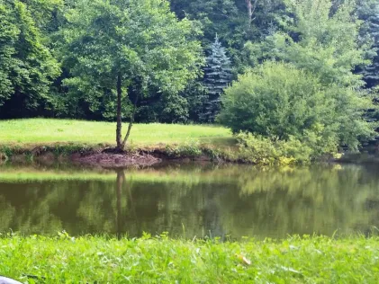 Nesselhofer Weiher