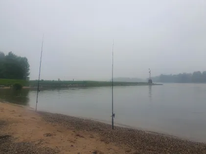 Waal (Nijmegen)