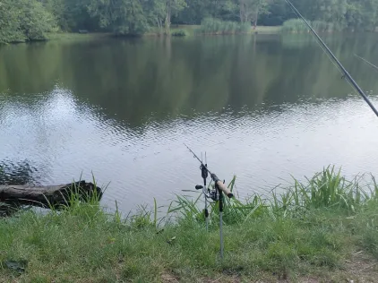 Burbacher Waldweiher (Saarbrücken)