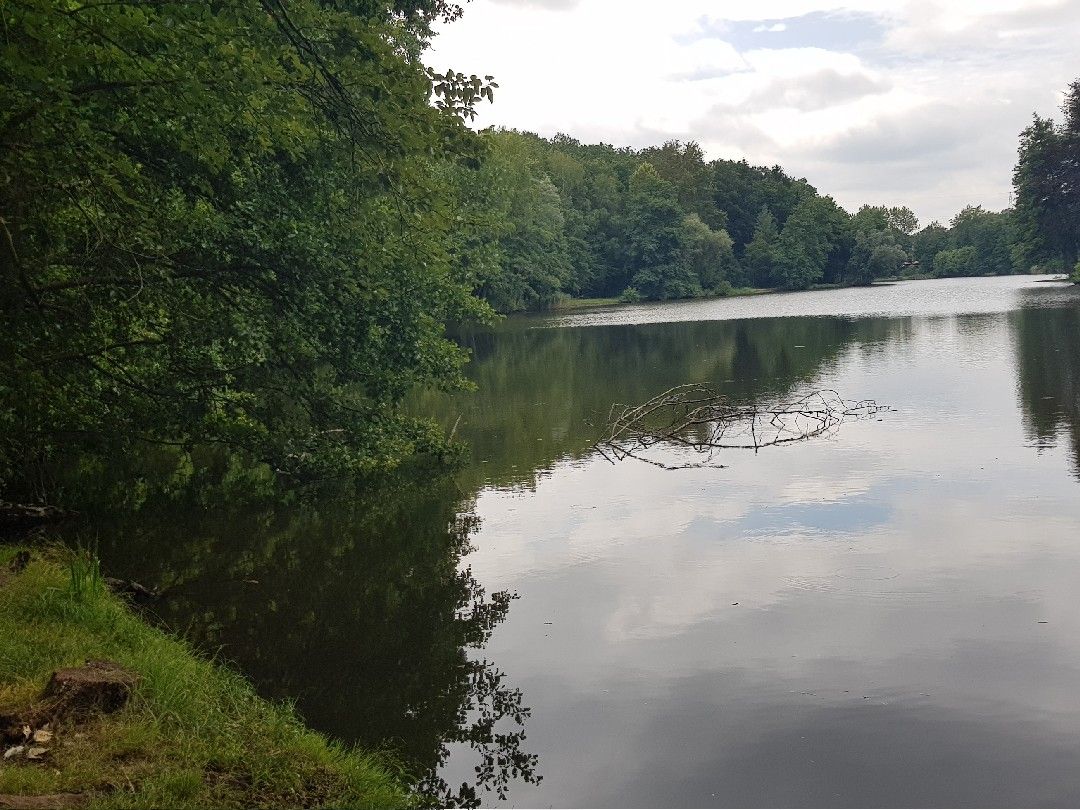 Burbacher Waldweiher (Saarbrücken) angeln