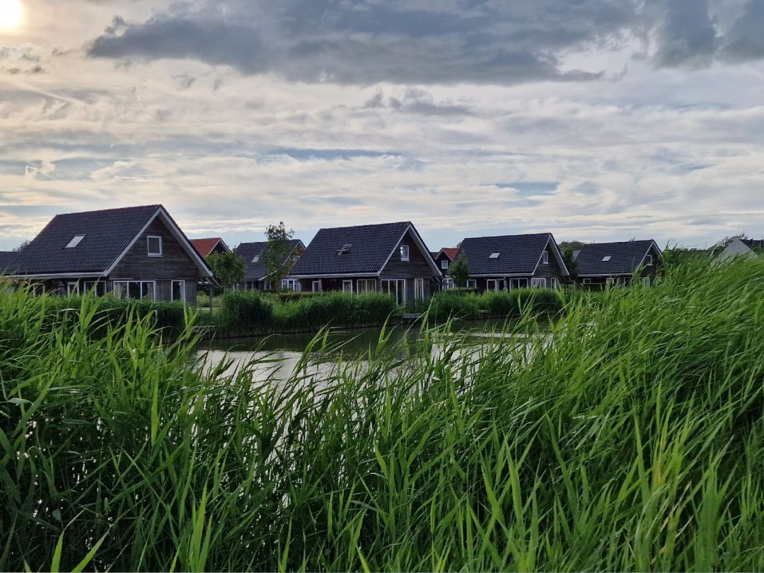 Nieuwvliet-Bad Landal angeln