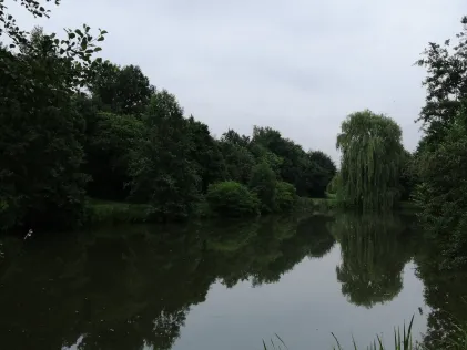 Parkteiche Bockenem