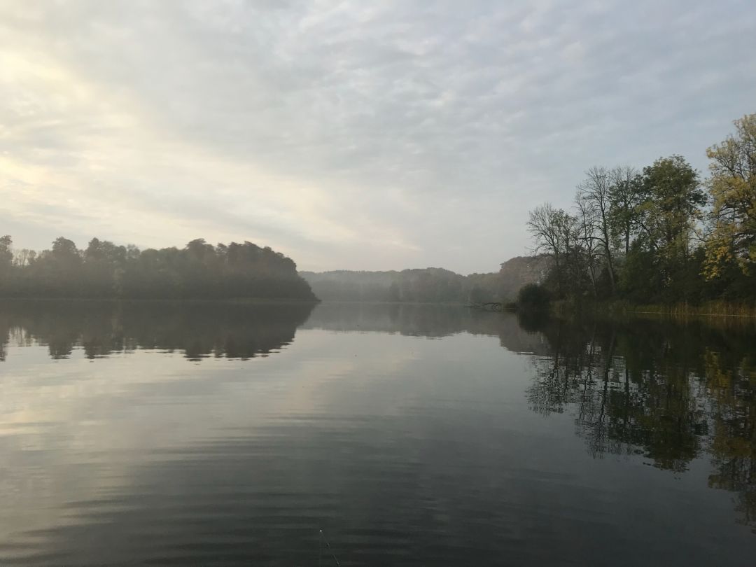 Holzsee (Nettelsee) angeln