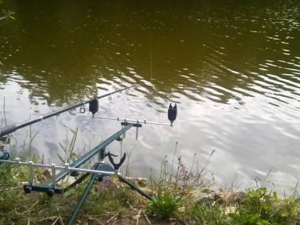 Brückweiher (Jägersburg)