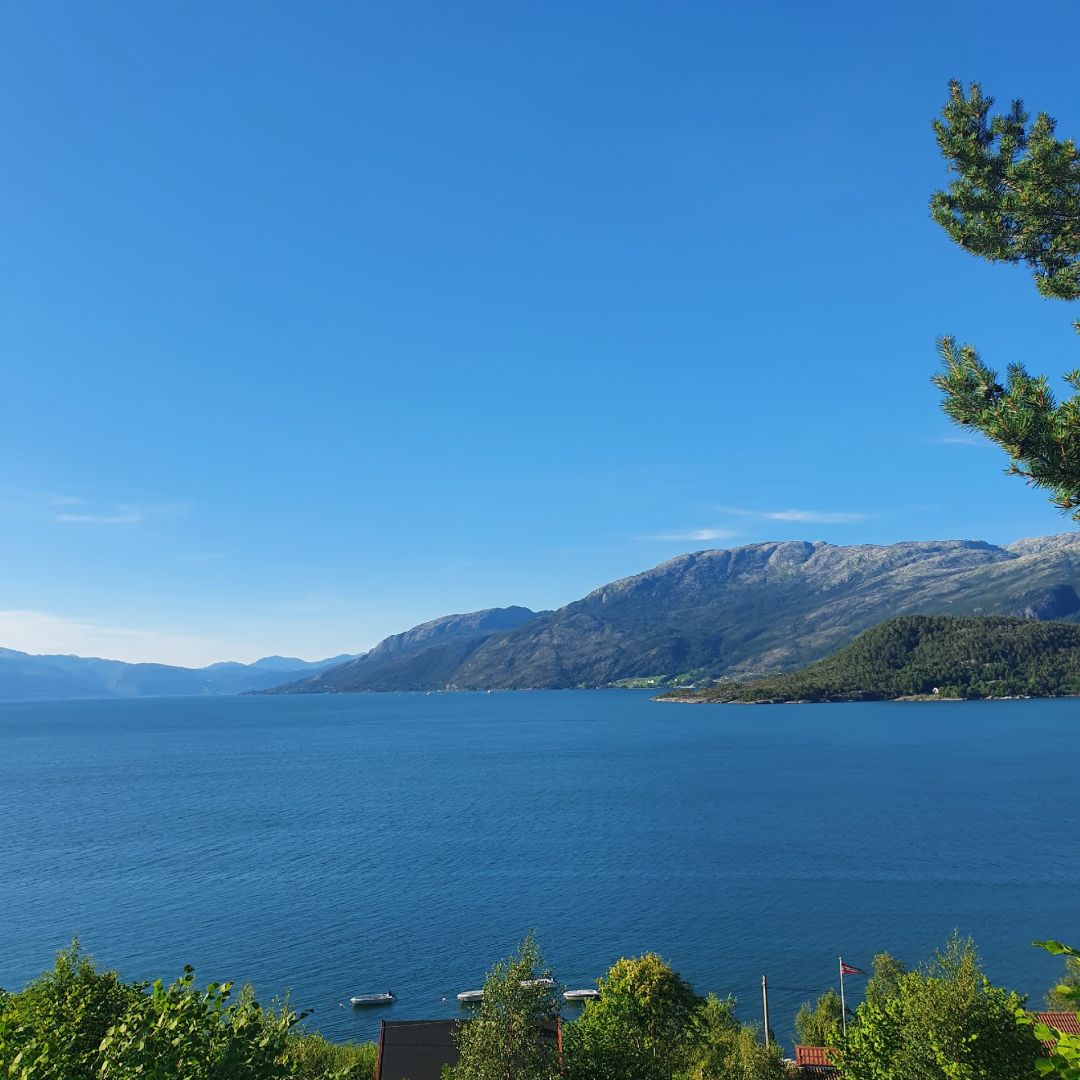 Hardangerfjorden angeln