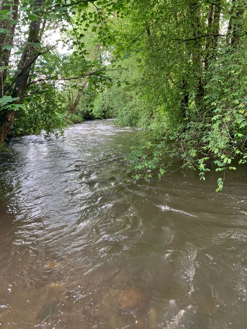 Osterbach (Wegscheid) angeln