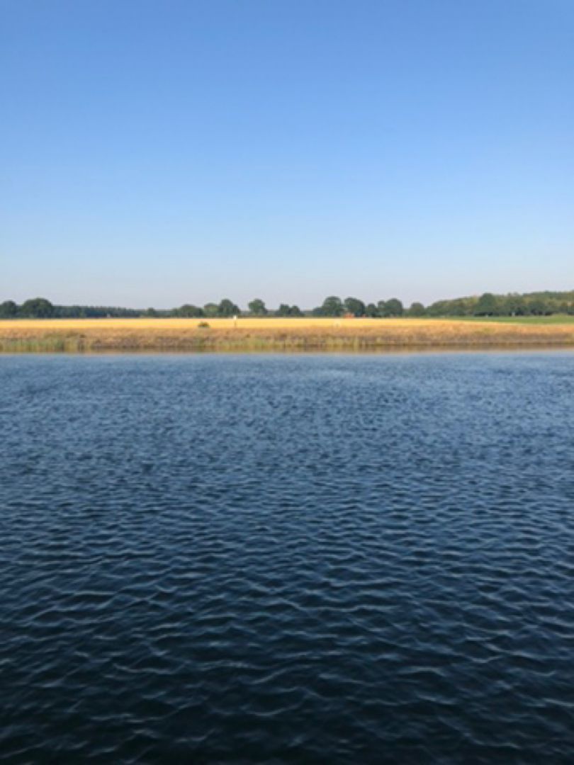 Elbe-Seitenkanal (Uelzen) angeln