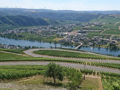 Mosel (Piesport-Minheim)