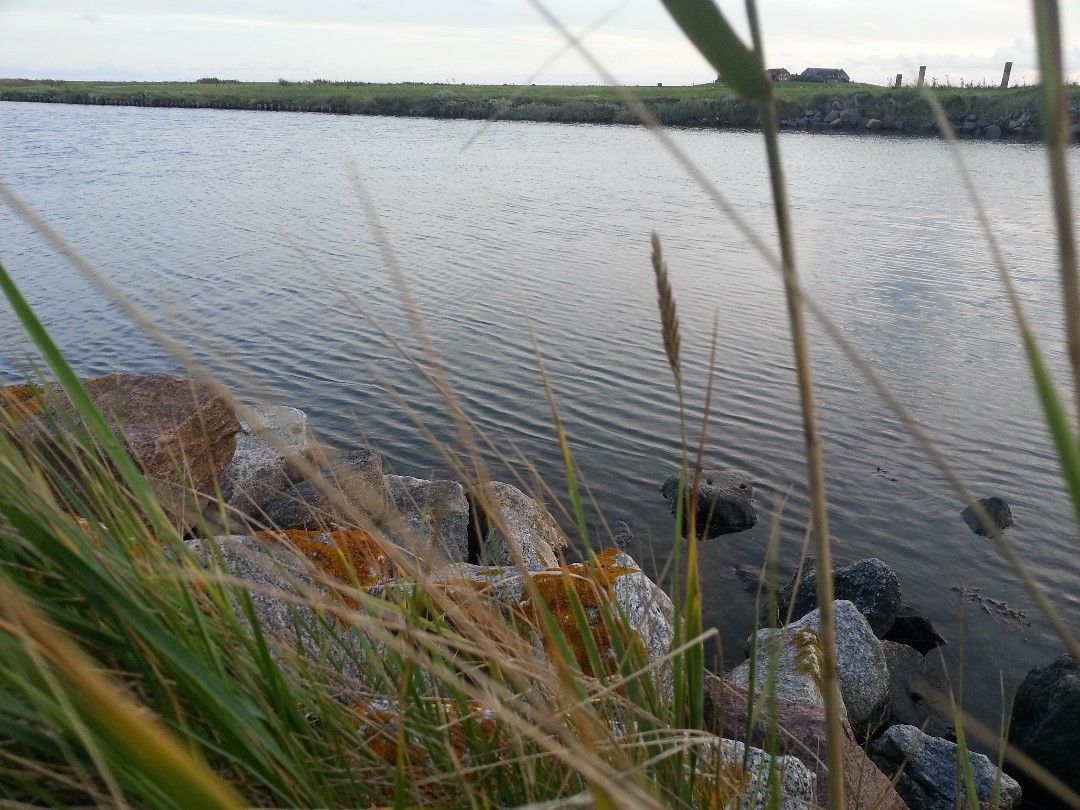 Nordsee (Hallig Hooge) angeln