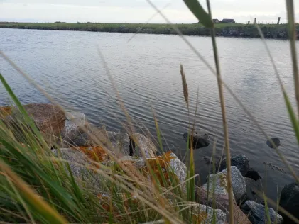 Nordsee (Hallig Hooge)