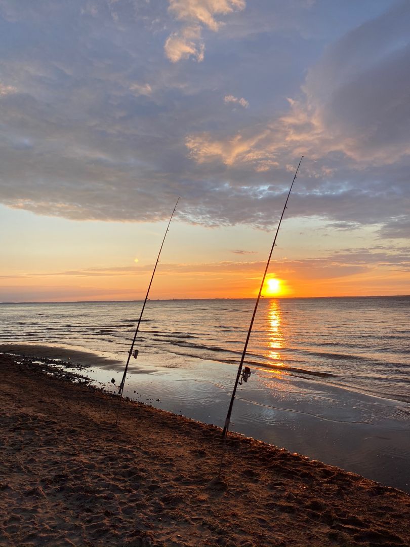 Ostsee (Brook) angeln