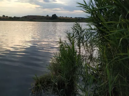 Bindersee (Rollsdorf)
