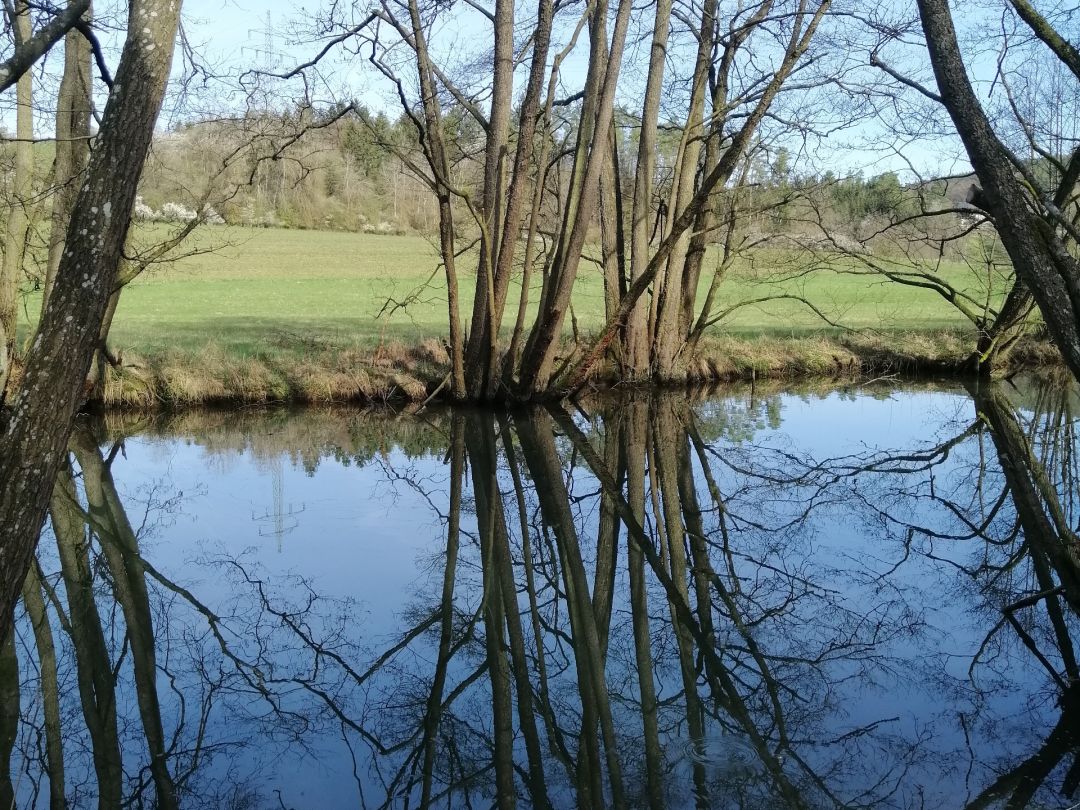 Schwarze Laber (Parsberg) angeln