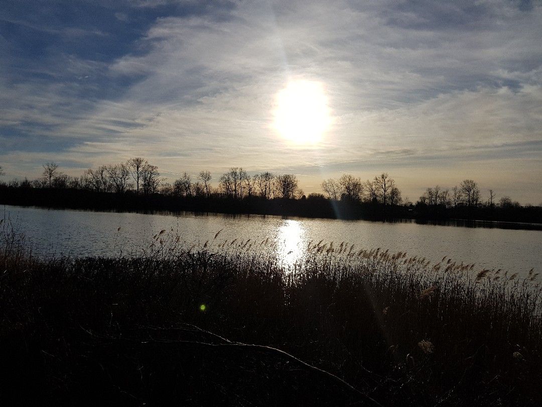 Lußsee angeln