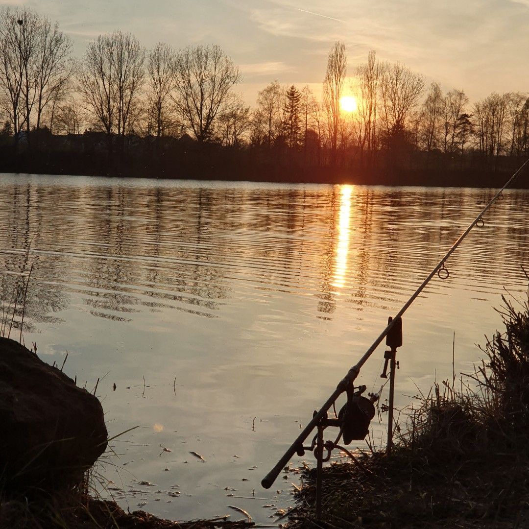 Bergheimer See angeln