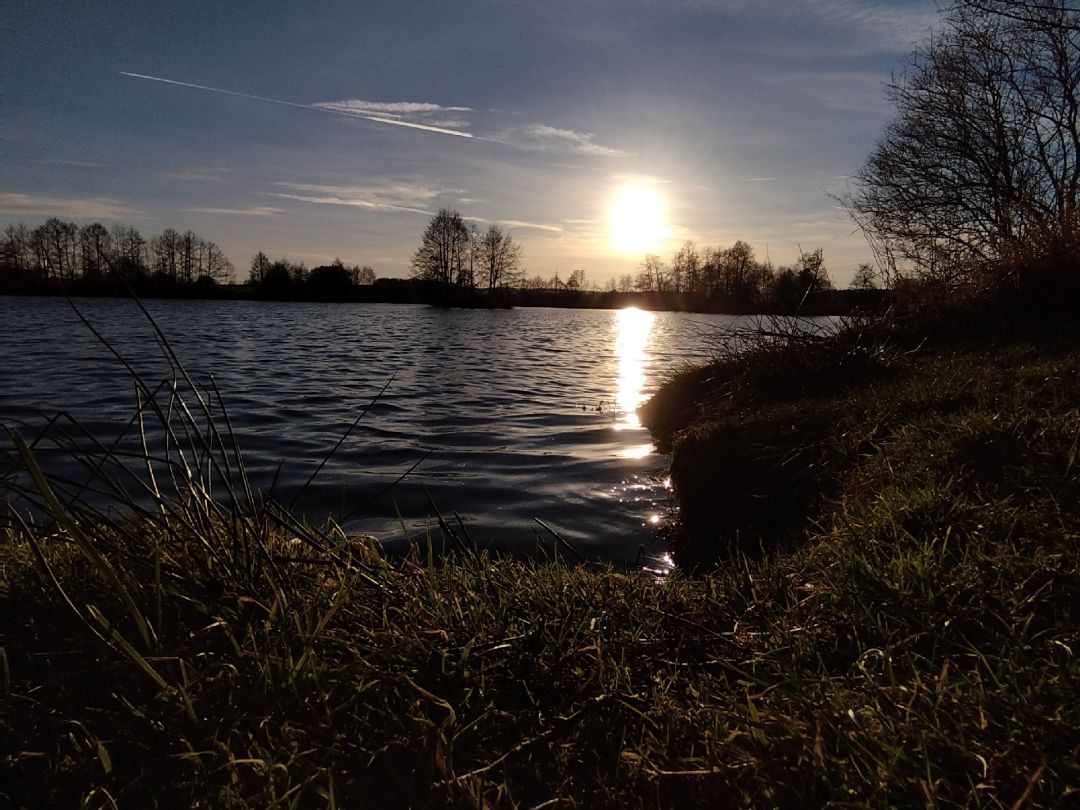 Baggersee Au (FV Weiden) angeln