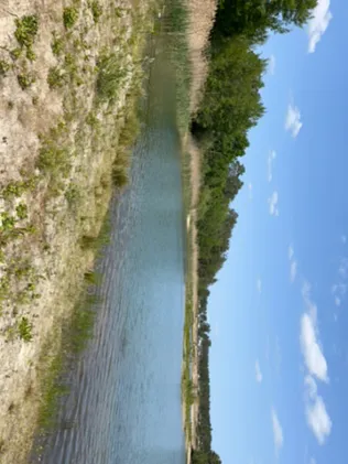 Erikasee (Gifhorn)