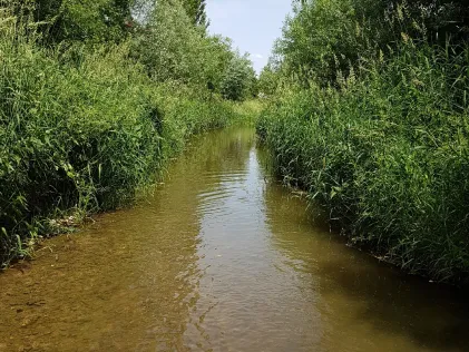 Ornauer Bach (Schwindegg)