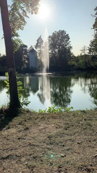 Großer Teich (Rosbach vor der Höhe)