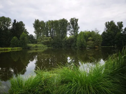 Dorfsee Rehbach