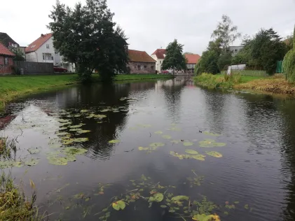 Mühlenteich (Hagenow)
