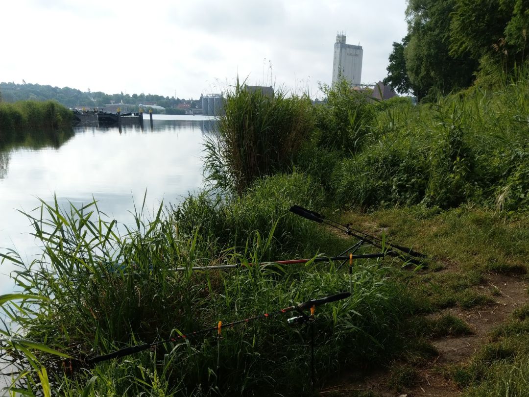 Elbe-Lübeck-Kanal (Mölln) angeln