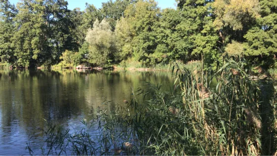 Müllersche Kiesgrube (Kummersdorf)