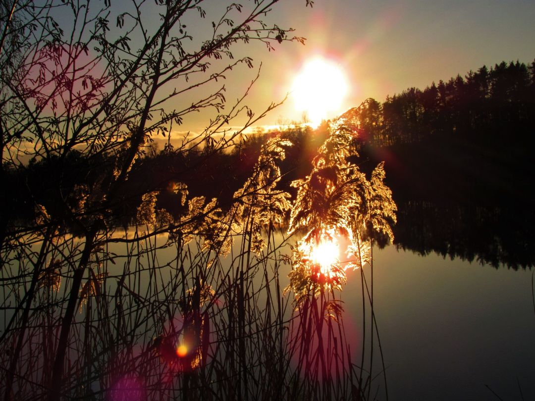 Matthiassee (Schwandorf) angeln