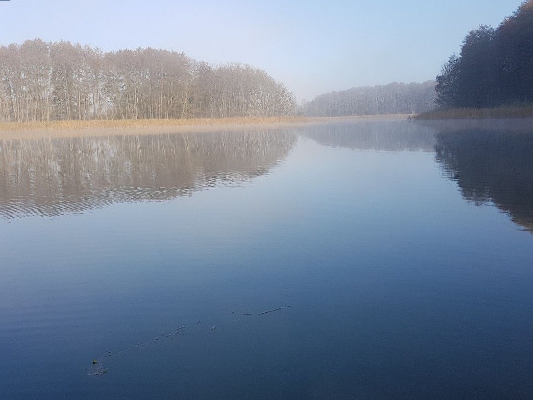 Kreiener See angeln