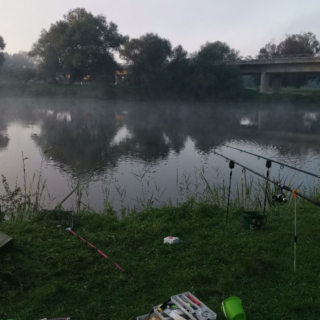 Irschinger Weiher angeln