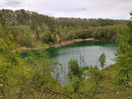 Böhmerteich (Sommersdorf)