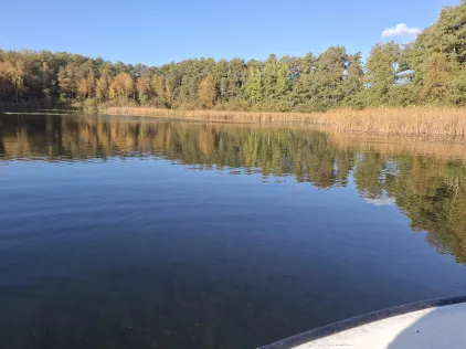 Alter Dorfsee (Krakow am See)
