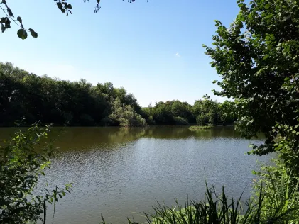 Seeloch (Lauffen)