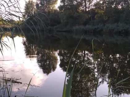 Weiher Beckingen
