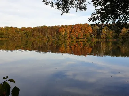 Nimburger See 