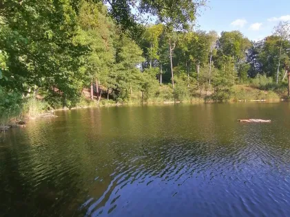 Bachsee (Chorin)