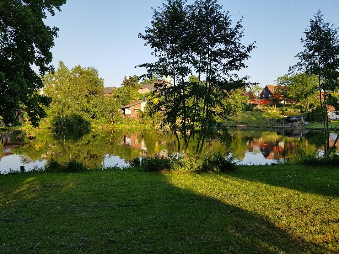 Neuer See (Groß Twülpstedt) angeln