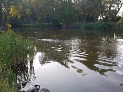 Teich Werdershausen