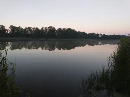 Hofsee (Vietgest)