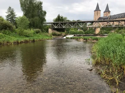 Zwickauer Mulde (Rochlitz)
