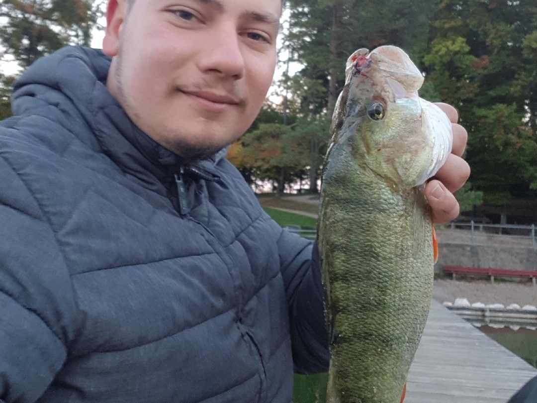 Taubensee (Kössen) angeln