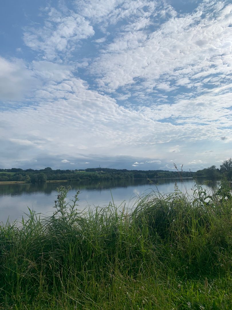 Rottauensee (Stausee Postmünster) angeln