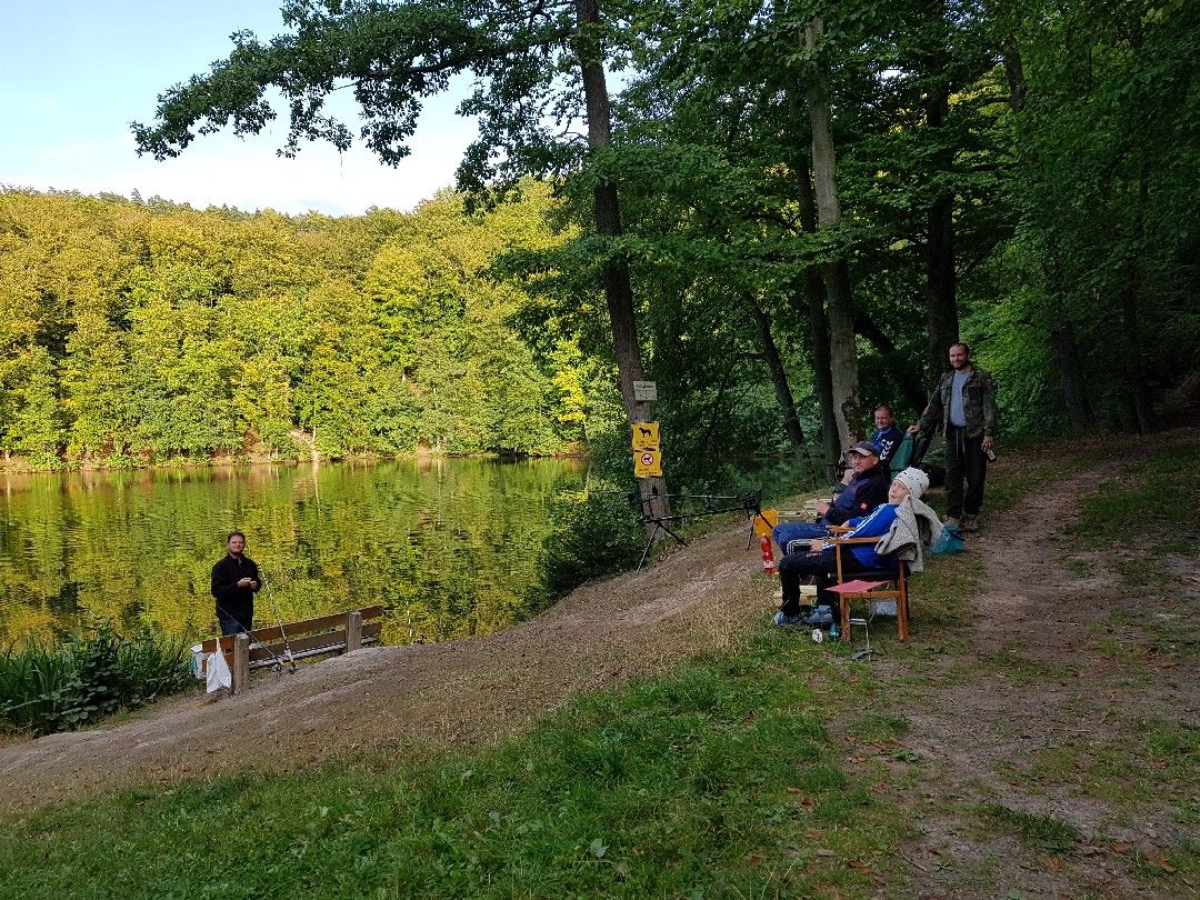 Schönsee (Urnshausen) angeln