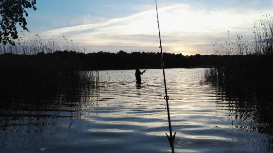 Leppinsee