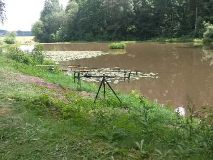 Hammelteich (Trappstadt)
