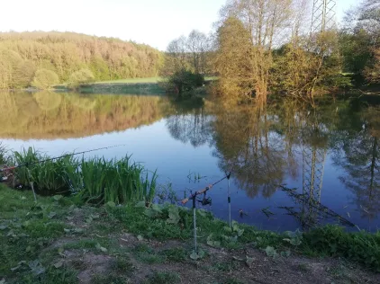 Forellensee Westheim (Marsberg)