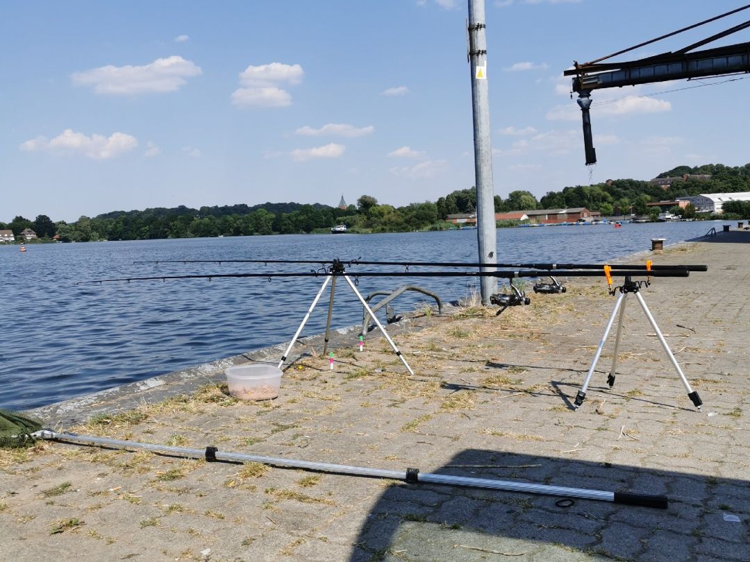 Ziegelsee Mölln angeln