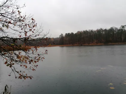 Papillensee